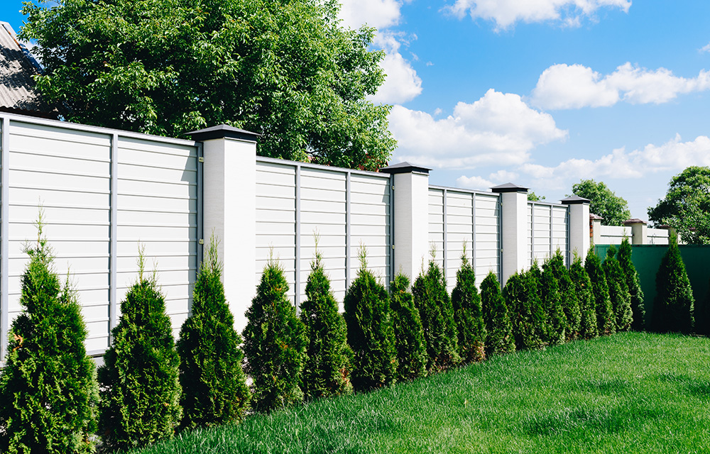 SMART-FENCES Smart Fences