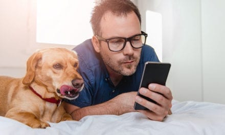 The Complete Pet Owner’s Guide to Home Automation